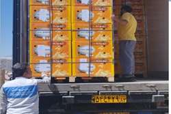 هشدار دامپزشکی طرقبه شاندیز به مراکز بسته بندی در خصوص الزامات بهداشتی محموله های صادراتی 